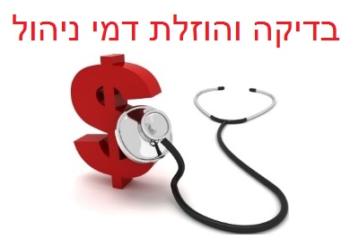 בדיקת דמי ניהול-2